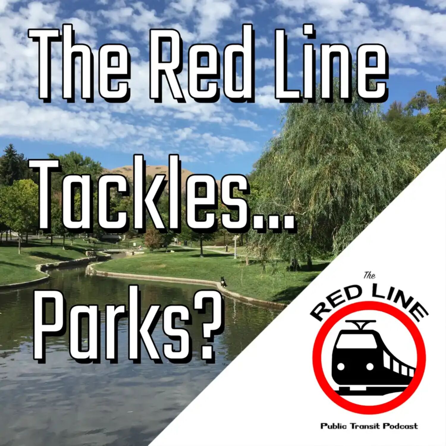 The Importance of Public Parks: Episode 84 episode artwork
