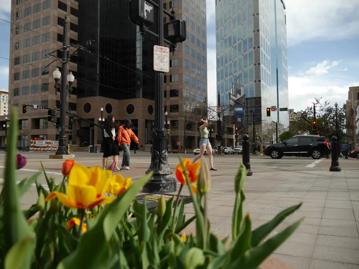 People crossing Main St., framed by flowers