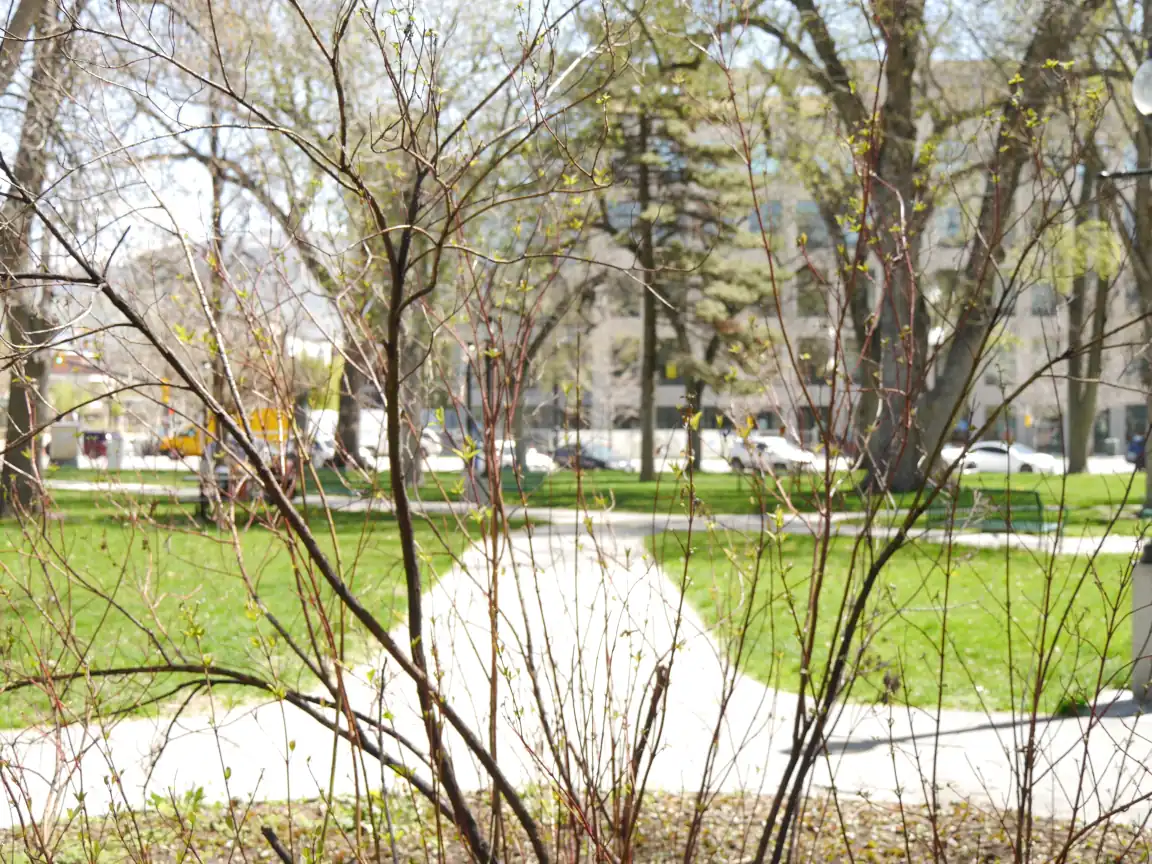 Some plants and walkways at Washington Square Park