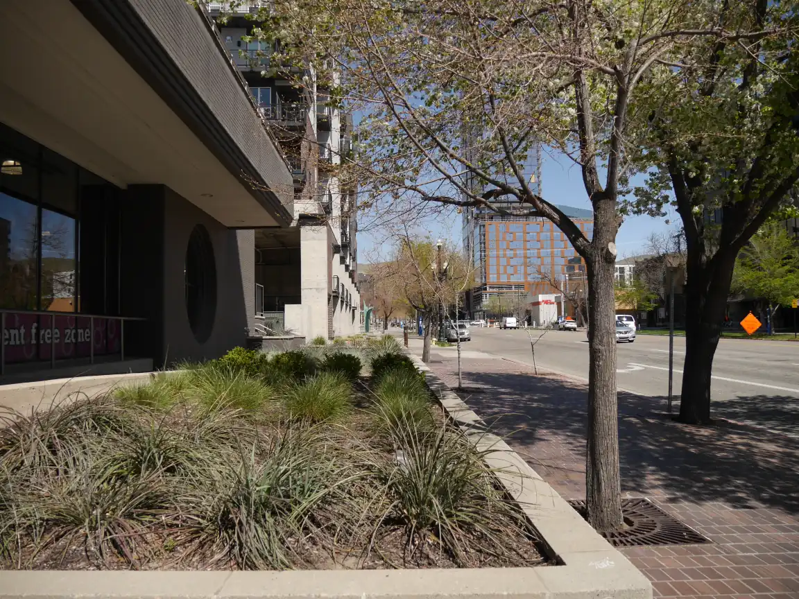 Some landscaping on 200 East